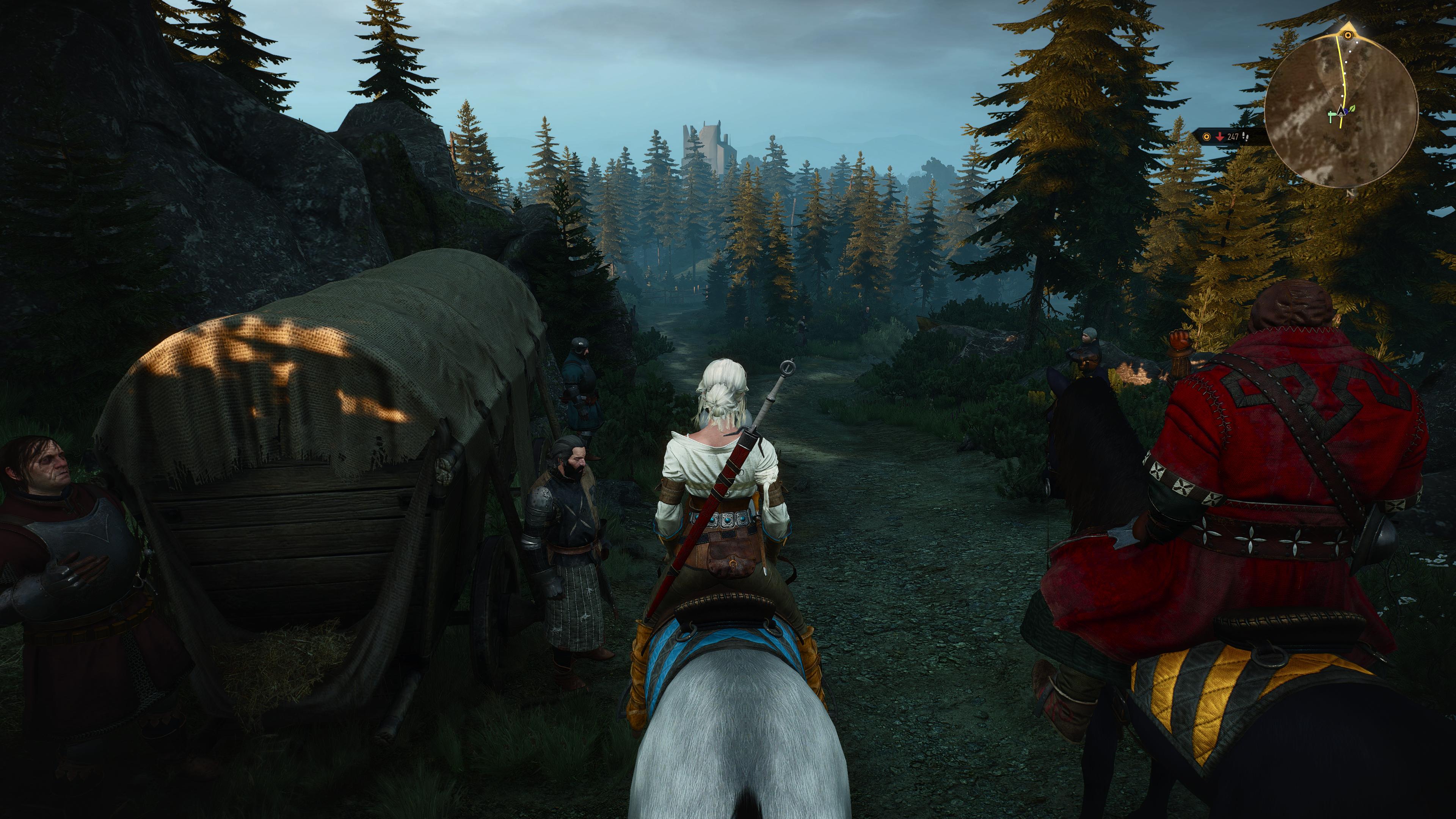 All quest the witcher 3 фото 71
