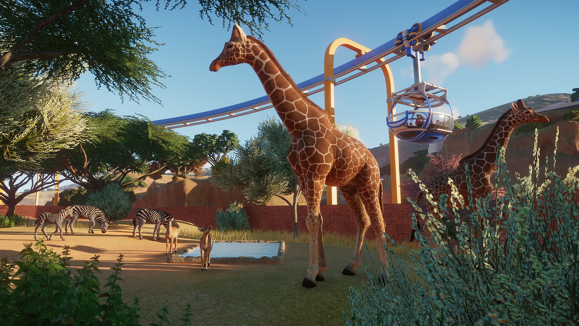 planet zoo steam planet zoo steam